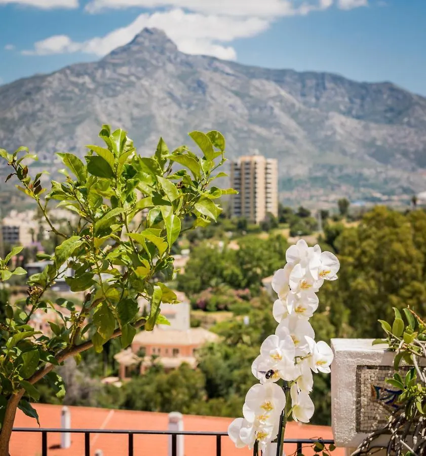 Molo Luxury Suites Puerto Banus Marbella