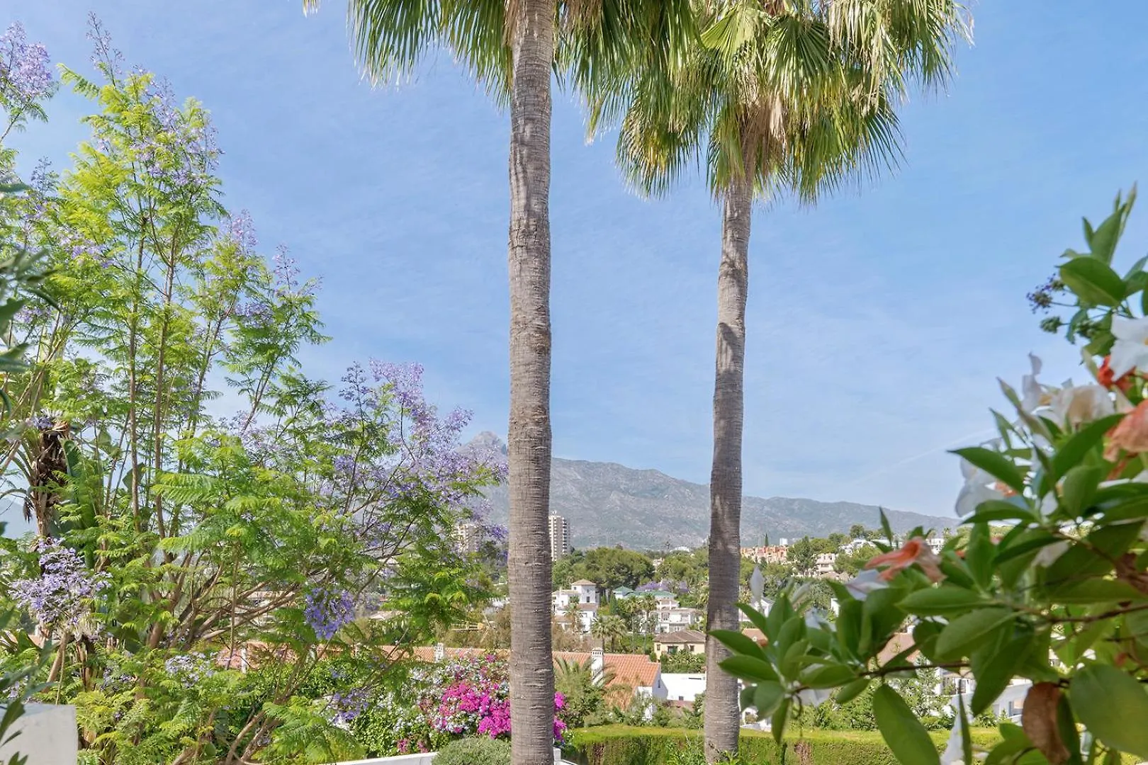 Hotel Molo Luxury Suites Puerto Banus Marbellac
