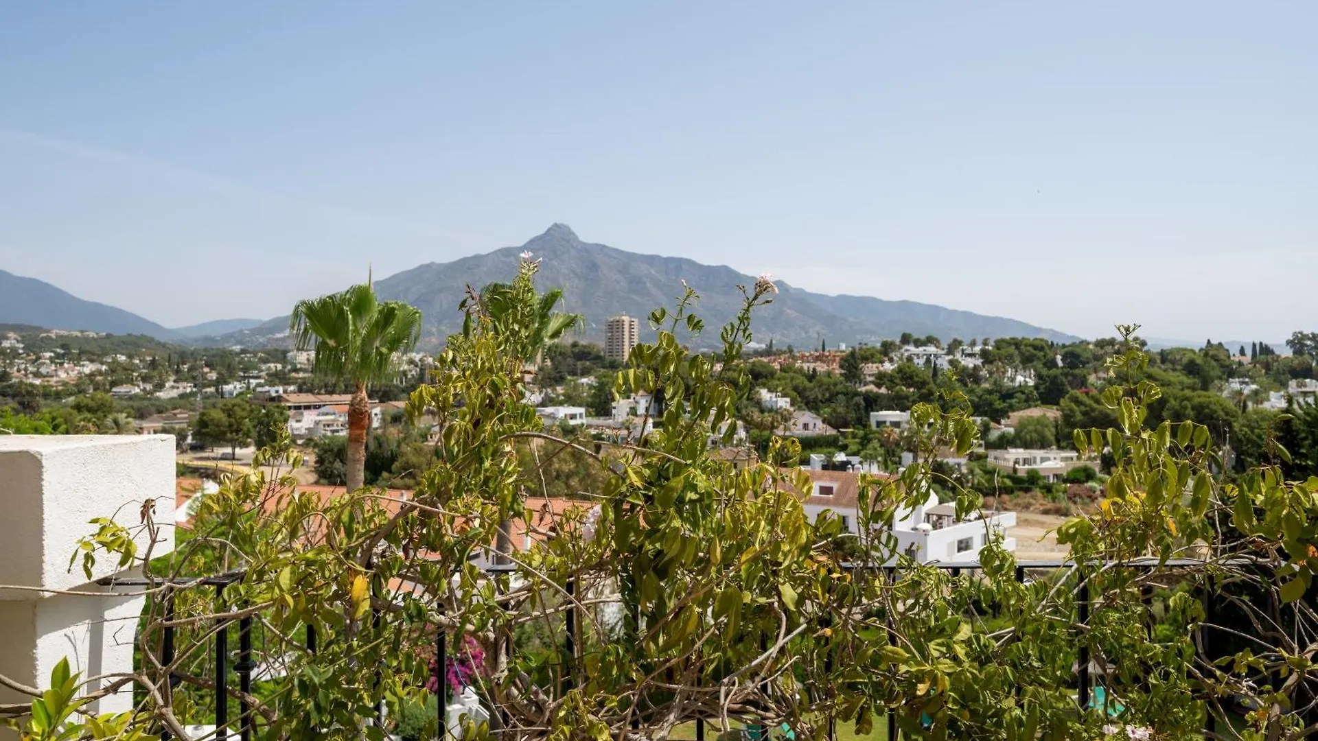Hotel Molo Luxury Suites Puerto Banus Marbellac Espagne