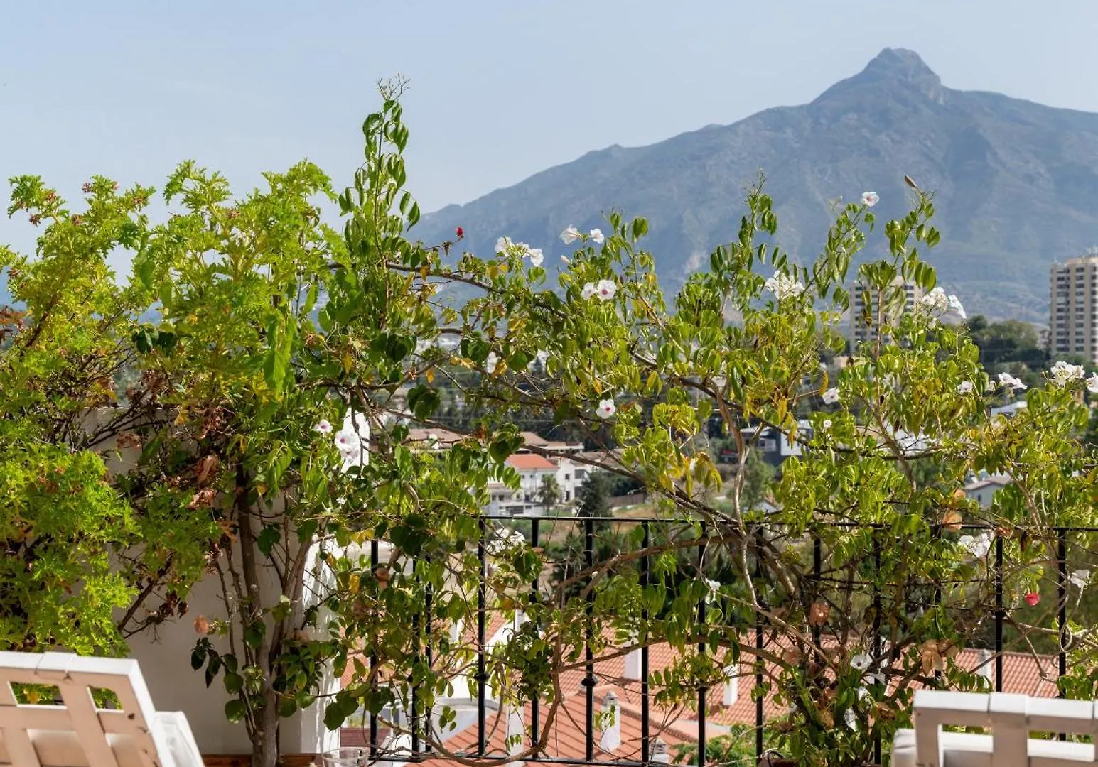Molo Luxury Suites Puerto Banus Marbellac Hotel