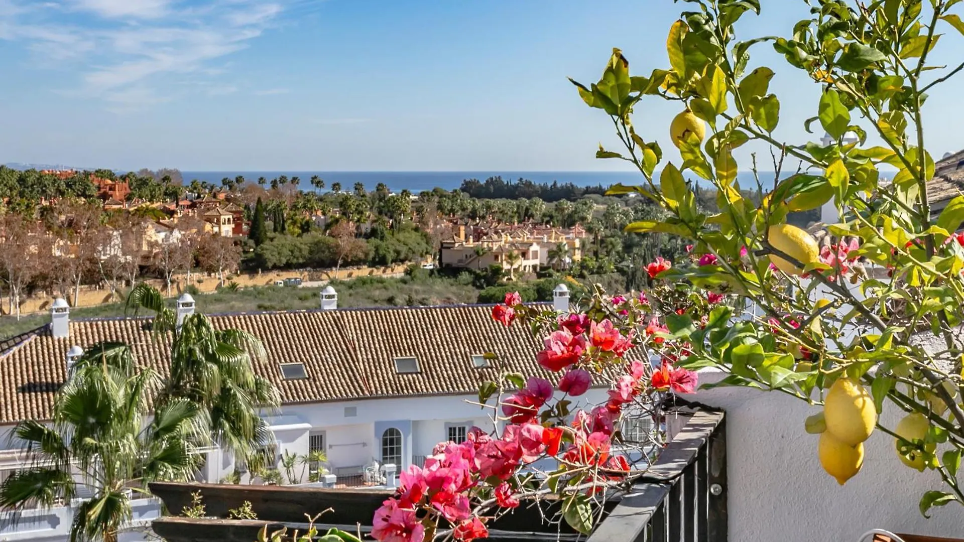 Molo Luxury Suites Puerto Banus 马尔韦利亚 酒店