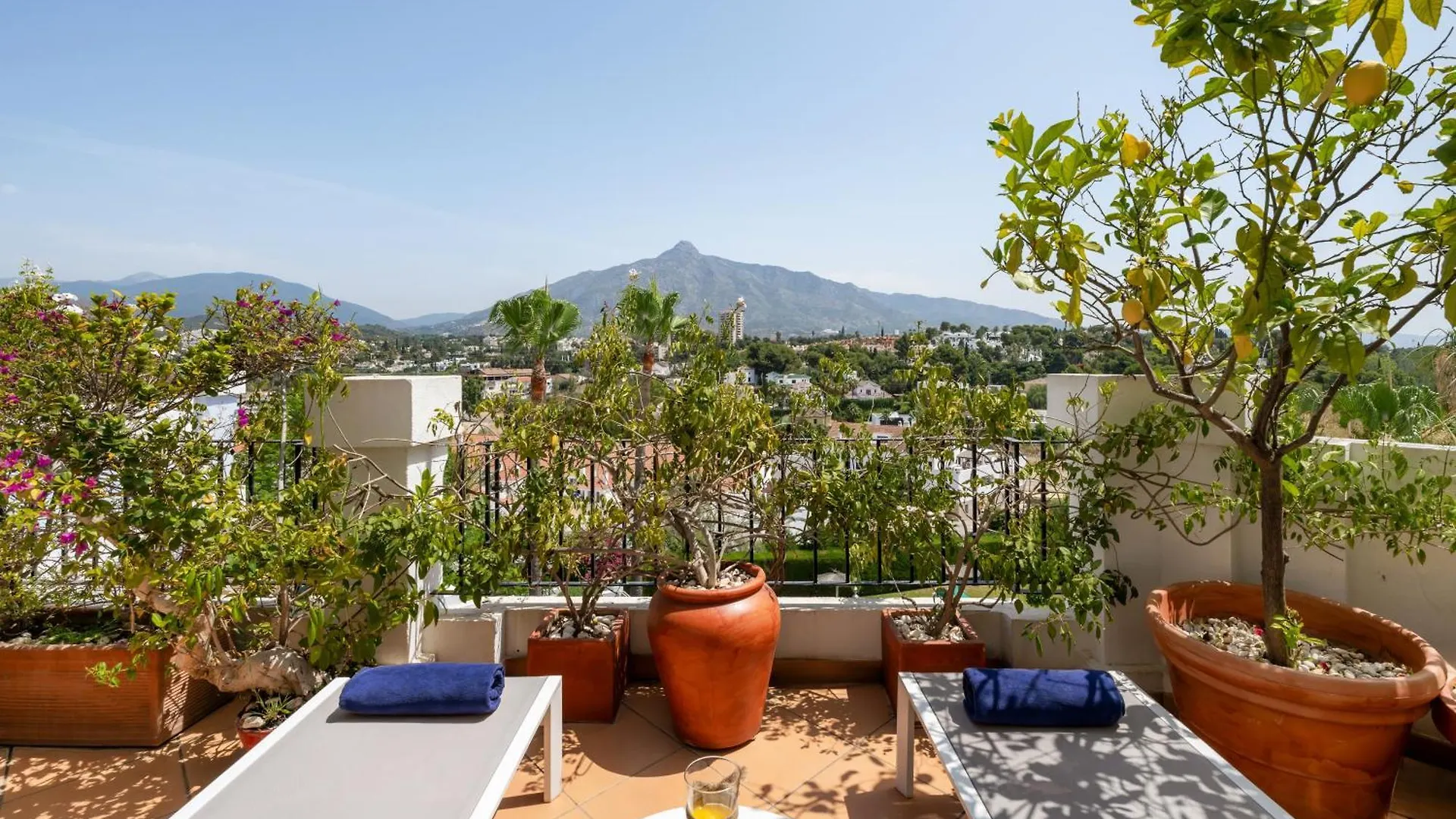 酒店 Molo Luxury Suites Puerto Banus 马尔韦利亚