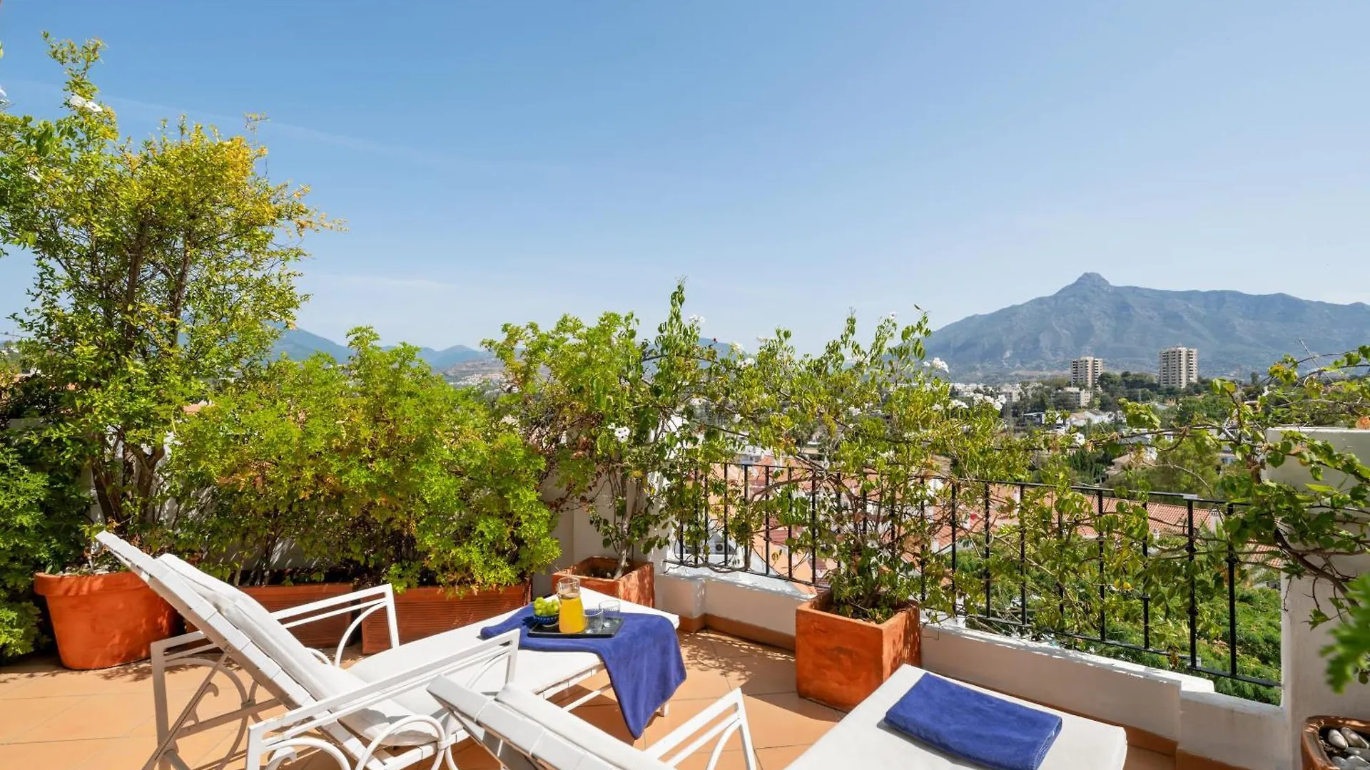 Molo Luxury Suites Puerto Banus 马尔韦利亚